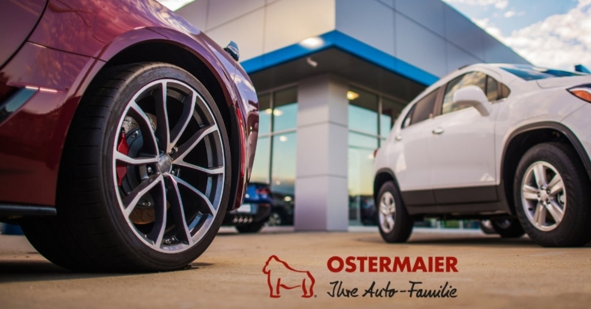 e-mobilio customer reference Ostermaier fleet electrification